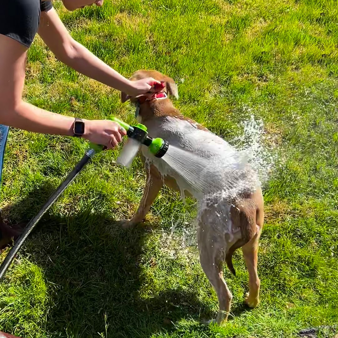 PupJet™, baden gemakkelijk gemaakt.