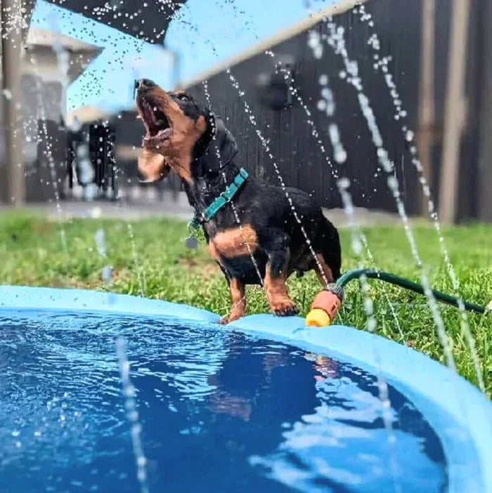 Waterspeelmat™ - Interactief waterplezier voor honden!