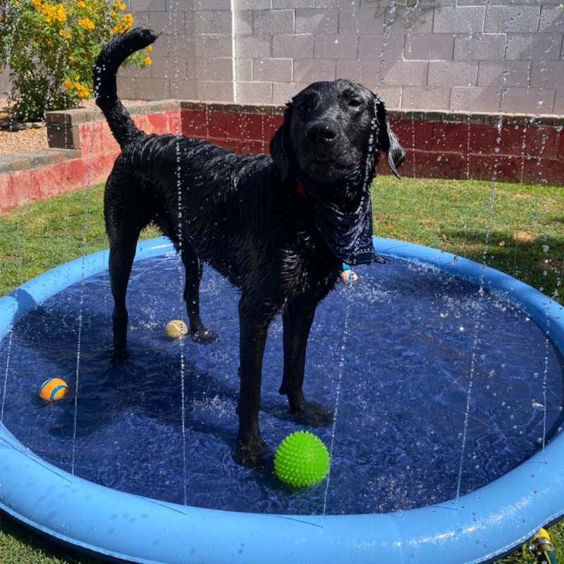 Waterspeelmat™ - Interactief waterplezier voor honden!