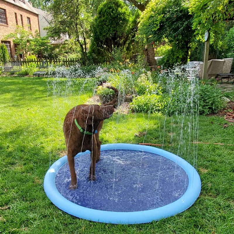 Waterspeelmat™ - Interactief waterplezier voor honden!