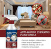 1+1 GRATIS | MoldAway Magic™ Anti-schimmel Reinigende Schuimspray