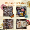 BlossomTabs™ - DIY transparante boekenleggers (set van 80 stuks)